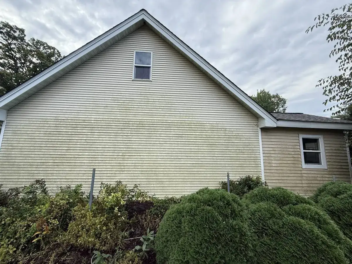 Gable end siding covered in heavy green algae before a soft wash