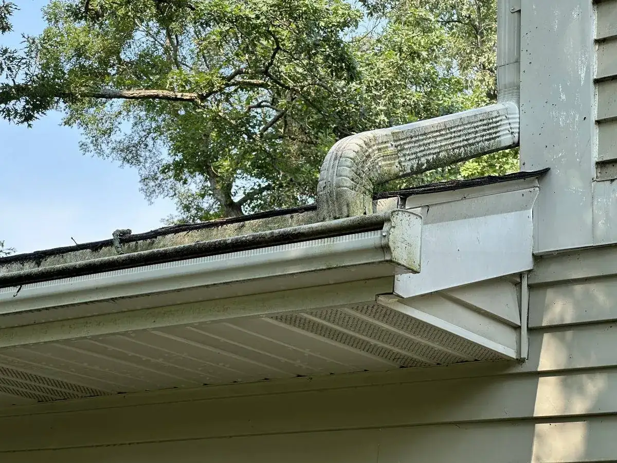 Green algae covering the downspout elbow and gutter of a Delafield home