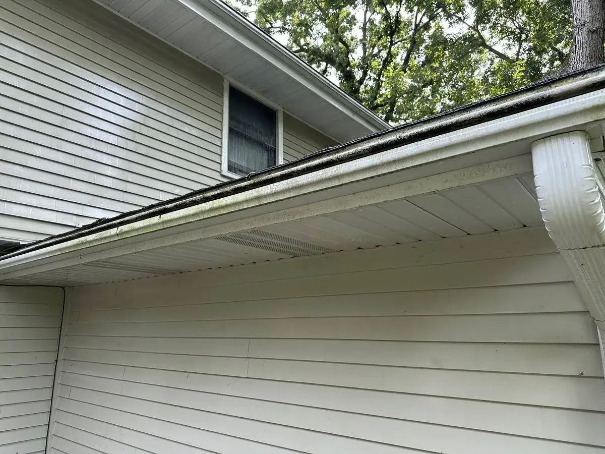 Algae streaking along the gutter line and fascia before soft washing
