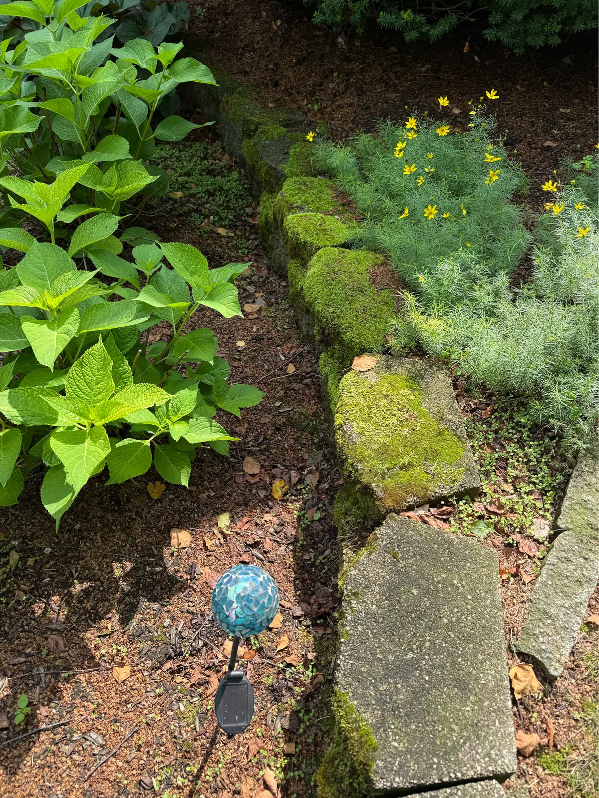 Close-up of block edging before cleaning, moss grown thick enough to cover the stone completely