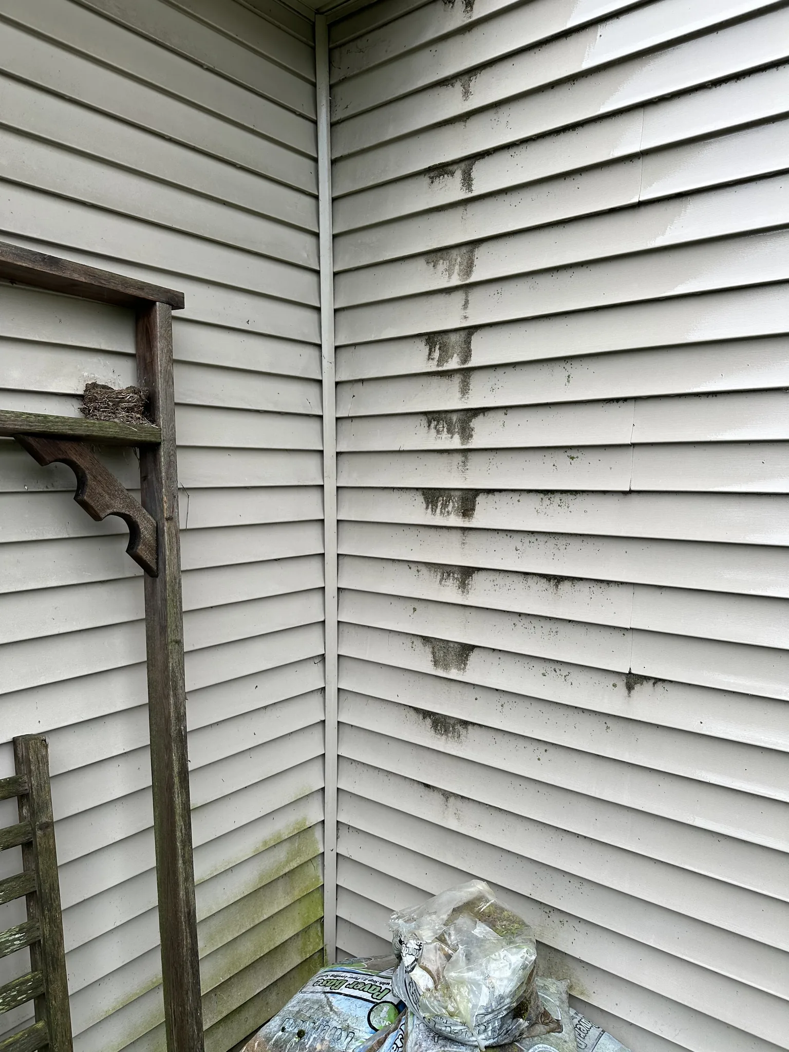 Shaded alcove corner before washing, dark streaking running down the siding