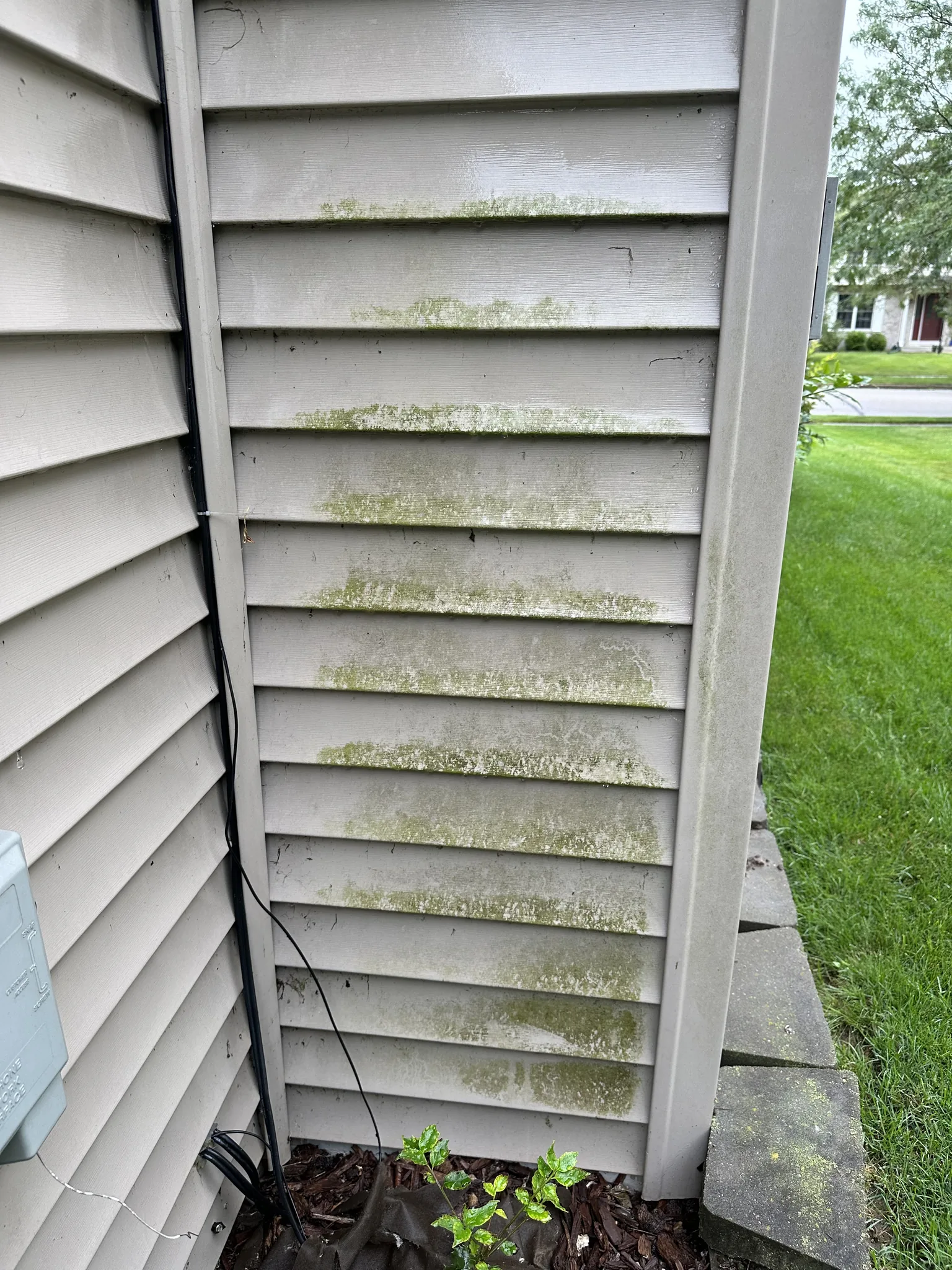 Corner of a Waukesha home before soft washing, green algae banded along the bottom edge of every course of vinyl siding